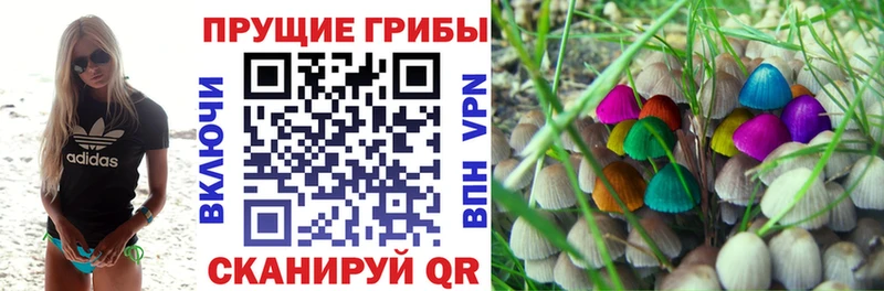 Псилоцибиновые грибы Cubensis  наркота  Зеленоградск 