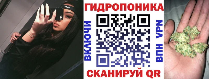 мега вход  Зеленоградск  Марихуана SATIVA & INDICA 